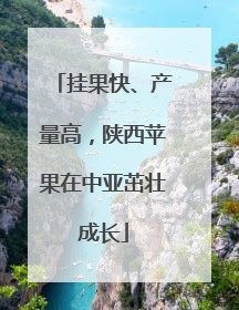 挂果快、产量高，陕西苹果在中亚茁壮成长