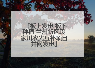 板上发电 板下种植 兰州新区段家川农光互补项目并网发电