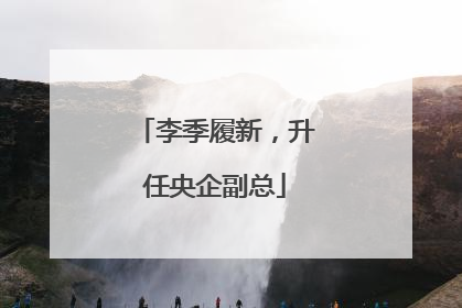李季履新，升任央企副总