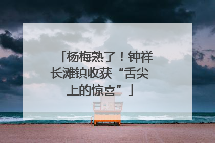 杨梅熟了！钟祥长滩镇收获“舌尖上的惊喜”