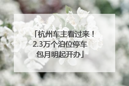 杭州车主看过来！2.3万个泊位停车包月明起开办