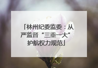 林州纪委监委：从严监督“三重一大” 护航权力规范