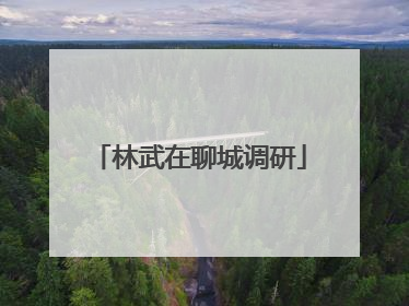 林武在聊城调研