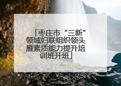 枣庄市“三新”领域妇联组织领头雁素质能力提升培训班开班