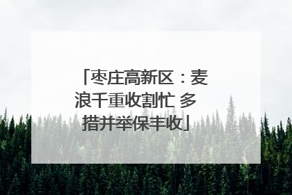 枣庄高新区：麦浪千重收割忙 多措并举保丰收