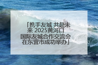 携手友城 共赴未来 2025黄河口国际友城合作交流会在东营市成功举办