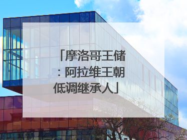 摩洛哥王储：阿拉维王朝低调继承人