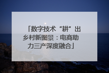 数字技术“耕”出乡村新图景：电商助力三产深度融合