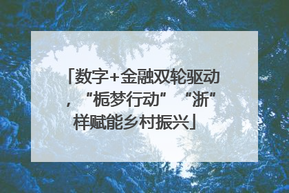 数字+金融双轮驱动，“栀梦行动”“浙”样赋能乡村振兴