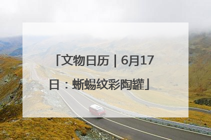文物日历｜6月17日：蜥蜴纹彩陶罐