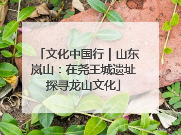 文化中国行｜山东岚山：在尧王城遗址探寻龙山文化