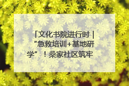 文化书院进行时｜“急救培训+基地研学”！桑家社区筑牢居民健康防线