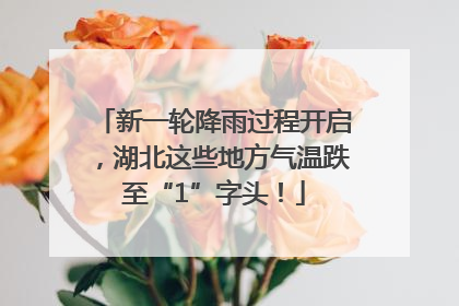 新一轮降雨过程开启，湖北这些地方气温跌至“1”字头！