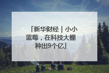 新华财经｜小小蓝莓，在科技大棚种出9个亿