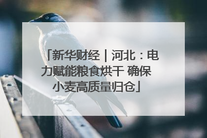 新华财经｜河北：电力赋能粮食烘干 确保小麦高质量归仓