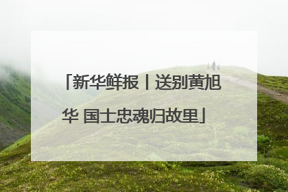 新华鲜报丨送别黄旭华 国士忠魂归故里