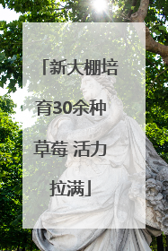 新大棚培育30余种草莓 活力拉满