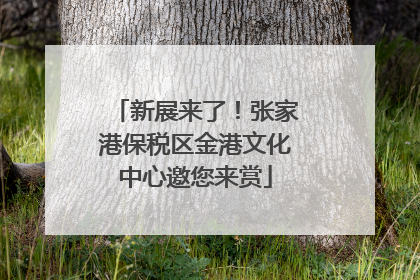 新展来了！张家港保税区金港文化中心邀您来赏
