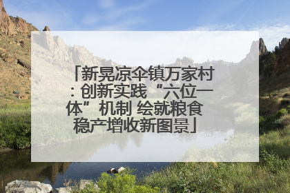 新晃凉伞镇万家村：创新实践“六位一体”机制 绘就粮食稳产增收新图景