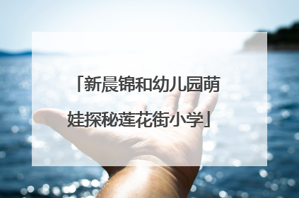 新晨锦和幼儿园萌娃探秘莲花街小学
