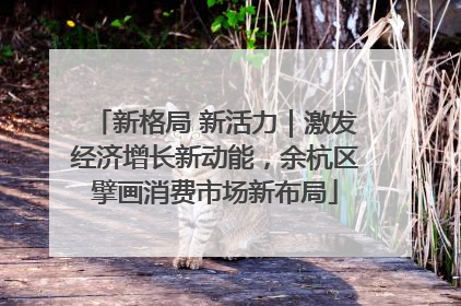 新格局 新活力｜激发经济增长新动能，余杭区擘画消费市场新布局