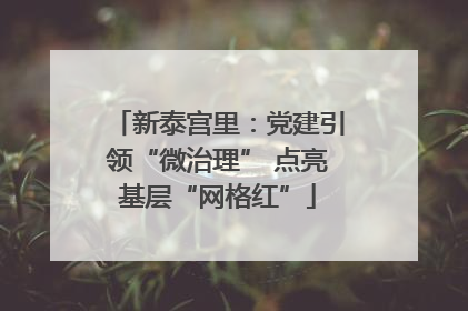 新泰宫里：党建引领“微治理” 点亮基层“网格红”