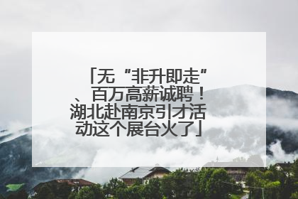 无“非升即走”、百万高薪诚聘！湖北赴南京引才活动这个展台火了