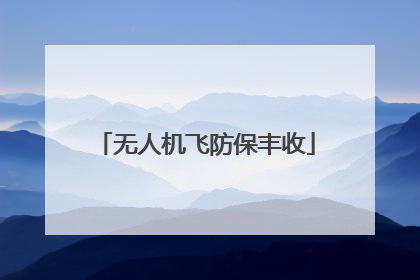 无人机飞防保丰收