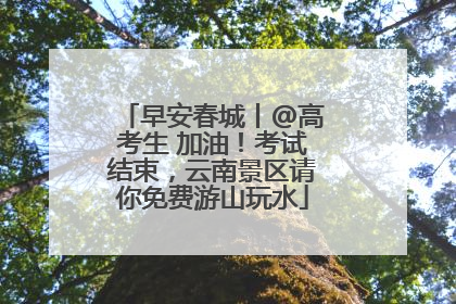 早安春城丨@高考生 加油！考试结束，云南景区请你免费游山玩水