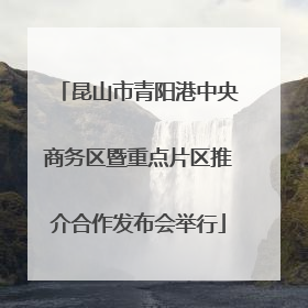 昆山市青阳港中央商务区暨重点片区推介合作发布会举行
