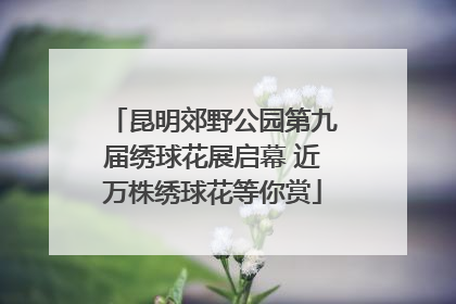 昆明郊野公园第九届绣球花展启幕 近万株绣球花等你赏