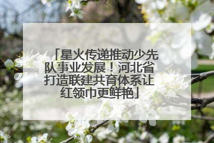 星火传递推动少先队事业发展！河北省打造联建共育体系让红领巾更鲜艳