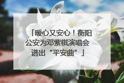 暖心又安心！衡阳公安为邓紫棋演唱会谱出“平安曲”