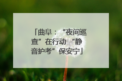曲阜：“夜间巡查”在行动 “静音护考”保安宁