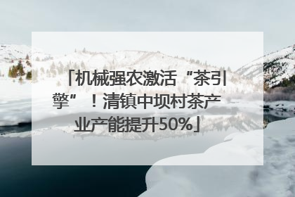 机械强农激活“茶引擎”！清镇中坝村茶产业产能提升50%