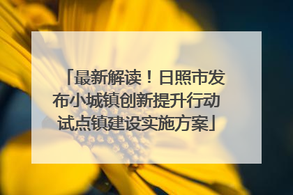 最新解读！日照市发布小城镇创新提升行动试点镇建设实施方案