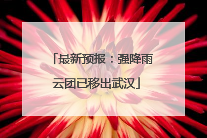 最新预报：强降雨云团已移出武汉
