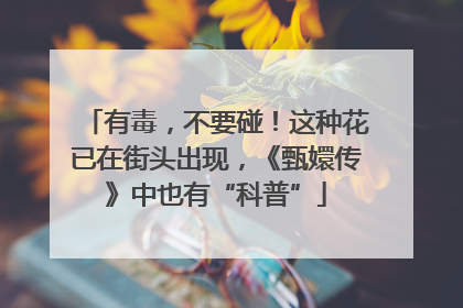 有毒，不要碰！这种花已在街头出现，《甄嬛传》中也有“科普”