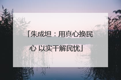 朱成坦：用真心换民心 以实干解民忧