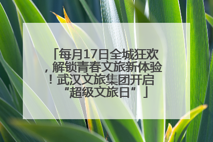 每月17日全城狂欢，解锁青春文旅新体验！武汉文旅集团开启 “超级文旅日”