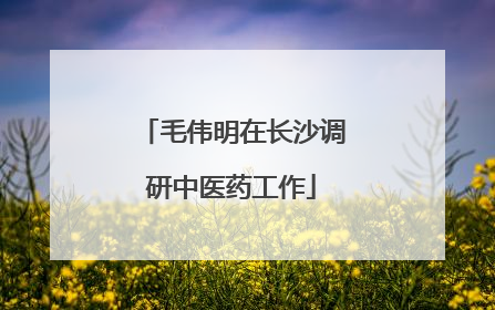 毛伟明在长沙调研中医药工作
