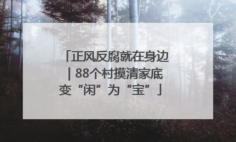 正风反腐就在身边｜88个村摸清家底变“闲”为“宝”