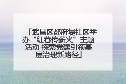 武昌区都府堤社区举办“红巷传薪火”主题活动 探索党建引领基层治理新路径