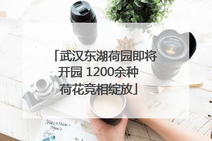 武汉东湖荷园即将开园 1200余种荷花竞相绽放