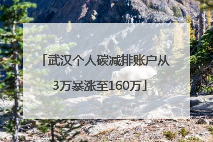 武汉个人碳减排账户从3万暴涨至160万