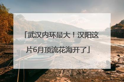 武汉内环最大！汉阳这片6月顶流花海开了