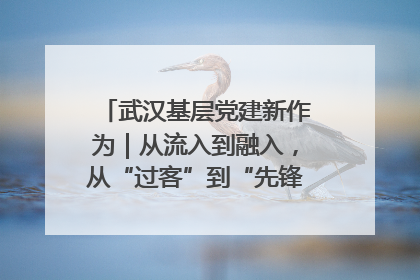 武汉基层党建新作为｜从流入到融入，从“过客”到“先锋” 武汉为流动党员筑起温暖之家