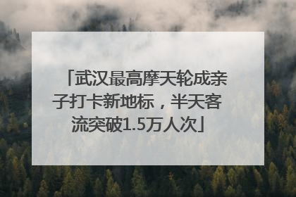武汉最高摩天轮成亲子打卡新地标，半天客流突破1.5万人次