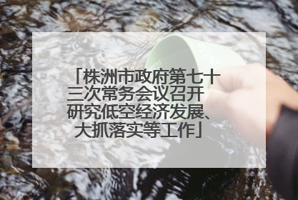株洲市政府第七十三次常务会议召开 研究低空经济发展、大抓落实等工作