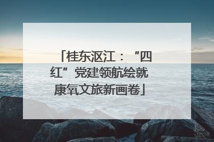 桂东沤江：“四红”党建领航绘就康氧文旅新画卷